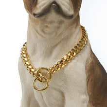 Load image into Gallery viewer, Gold Chain Doggie Collar
