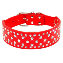 Load image into Gallery viewer, Cutest Doggo Collar - Blingdropz
