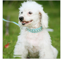 Load image into Gallery viewer, Spike Dog Collar - Blingdropz
