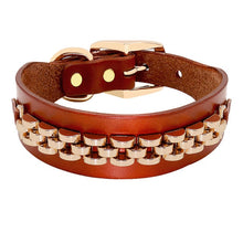 Load image into Gallery viewer, Leather Bling Doggie Collar - Blingdropz
