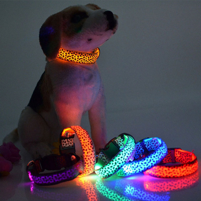 LED Dog Collar - Blingdropz